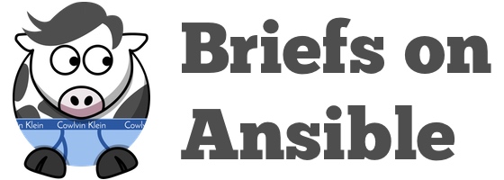 Briefs on Ansible logo